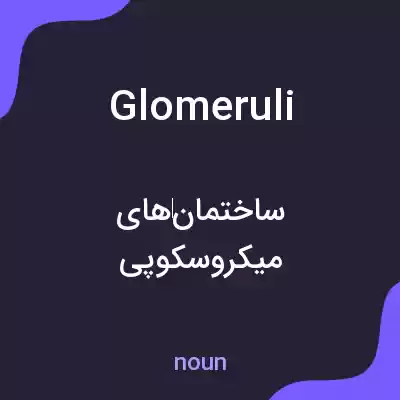 معنی glomeruli به فارسی معنی glomeruli به فارسی