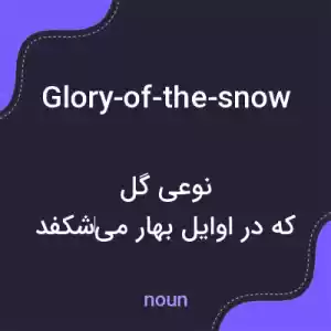 معنی glory-of-the-snow به فارسی معنی glory-of-the-snow به فارسی