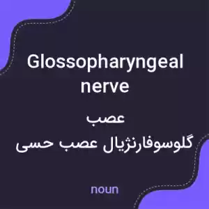 معنی glossopharyngeal nerve به فارسی معنی glossopharyngeal nerve به فارسی