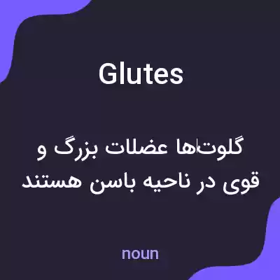 معنی glutes به فارسی
