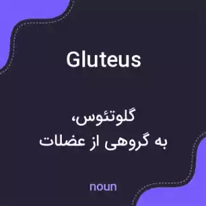 معنی gluteus به فارسی معنی gluteus به فارسی