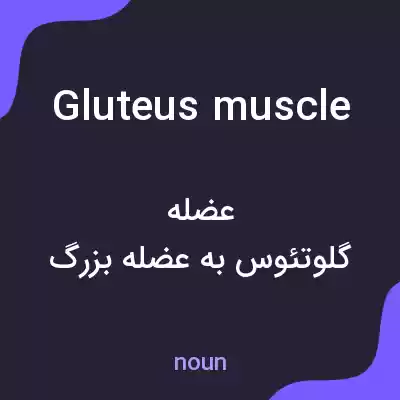معنی gluteus muscle به فارسی معنی gluteus muscle به فارسی