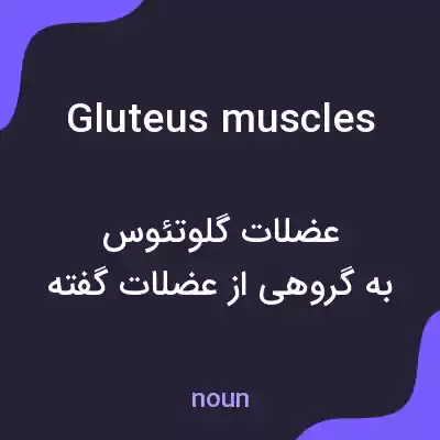 معنی gluteus muscles به فارسی معنی gluteus muscles به فارسی