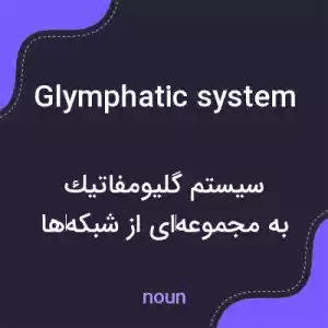 معنی glymphatic system به فارسی معنی glymphatic system به فارسی