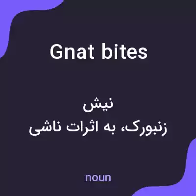معنی gnat bites به فارسی معنی gnat bites به فارسی
