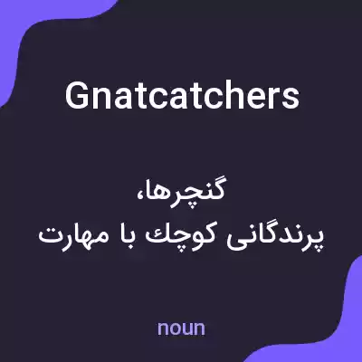 معنی gnatcatchers به فارسی معنی gnatcatchers به فارسی