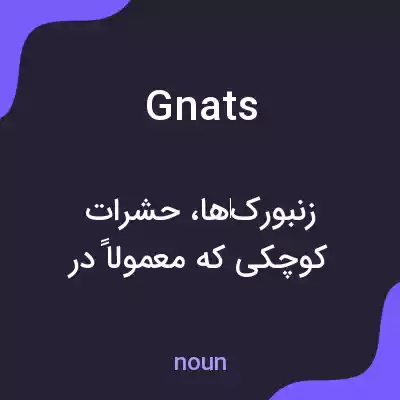 معنی gnats به فارسی معنی gnats به فارسی