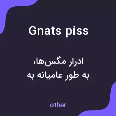 معنی gnats piss به فارسی