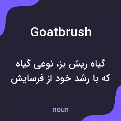 معنی goatbrush به فارسی معنی goatbrush به فارسی