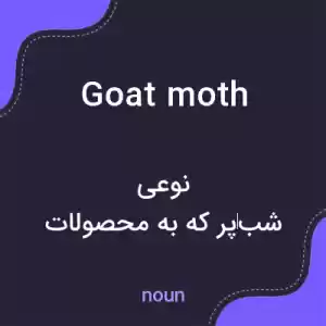 معنی goat moth به فارسی معنی goat moth به فارسی