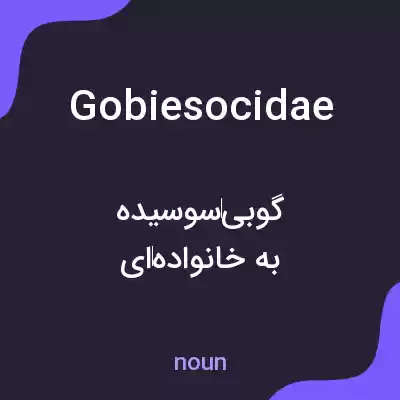 معنی gobiesocidae به فارسی معنی gobiesocidae به فارسی
