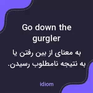 معنی go down the gurgler به فارسی معنی go down the gurgler به فارسی