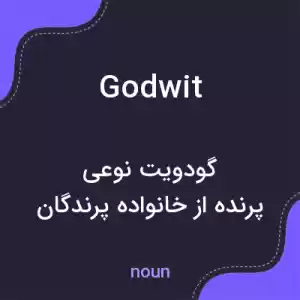معنی godwit به فارسی معنی godwit به فارسی