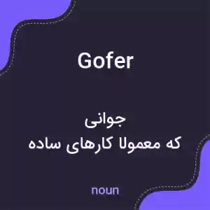 معنی gofer به فارسی معنی gofer به فارسی