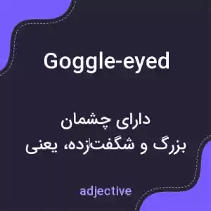 معنی goggle-eyed به فارسی معنی goggle-eyed به فارسی