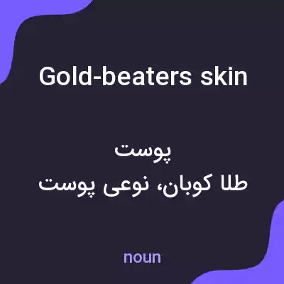 معنی gold-beaters skin به فارسی