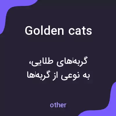 معنی golden cats به فارسی