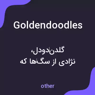 معنی goldendoodles به فارسی معنی goldendoodles به فارسی