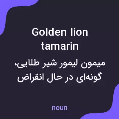 معنی golden lion tamarin به فارسی معنی golden lion tamarin به فارسی