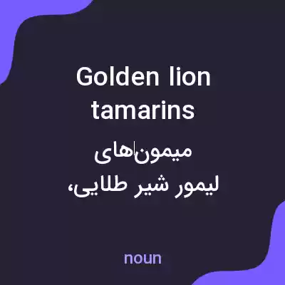 معنی golden lion tamarins به فارسی معنی golden lion tamarins به فارسی