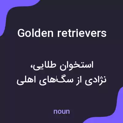 معنی golden retrievers به فارسی معنی golden retrievers به فارسی