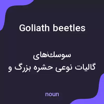 معنی goliath beetles به فارسی معنی goliath beetles به فارسی