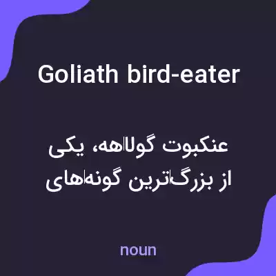 معنی goliath bird-eater به فارسی معنی goliath bird-eater به فارسی