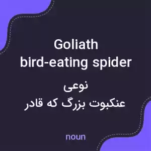 معنی goliath bird-eating spider به فارسی معنی goliath bird-eating spider به فارسی