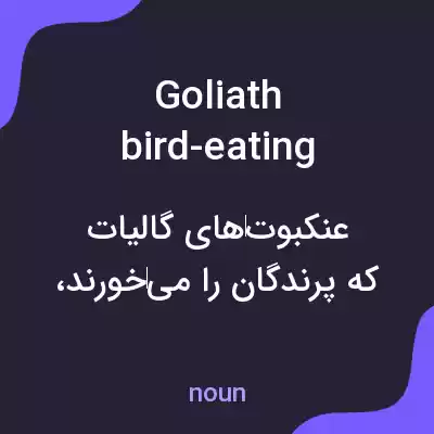 معنی goliath bird-eating spiders به فارسی معنی goliath bird-eating spiders به فارسی