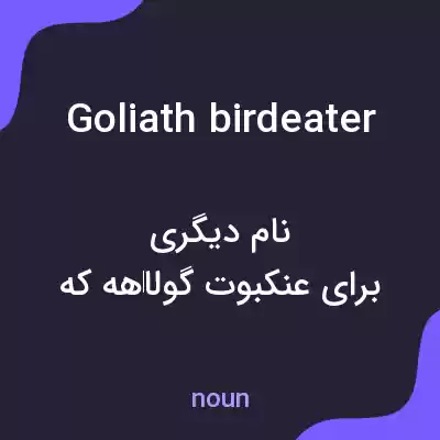 معنی goliath birdeater به فارسی معنی goliath birdeater به فارسی