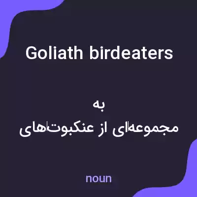 معنی goliath birdeaters به فارسی معنی goliath birdeaters به فارسی