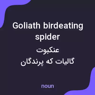 معنی goliath birdeating spider به فارسی معنی goliath birdeating spider به فارسی