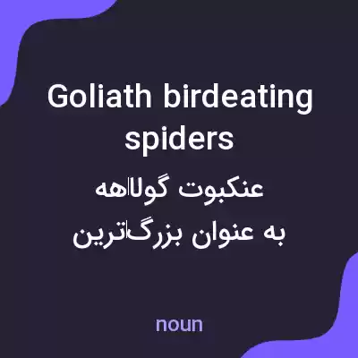 معنی goliath birdeating spiders به فارسی معنی goliath birdeating spiders به فارسی