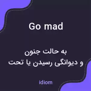 معنی go mad به فارسی معنی go mad به فارسی