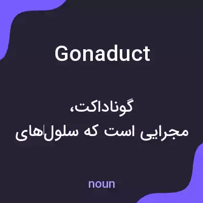 معنی gonaduct به فارسی معنی gonaduct به فارسی