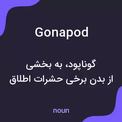 معنی gonapod به فارسی معنی gonapod به فارسی