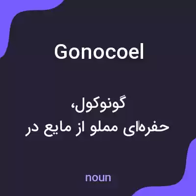 معنی gonocoel به فارسی معنی gonocoel به فارسی