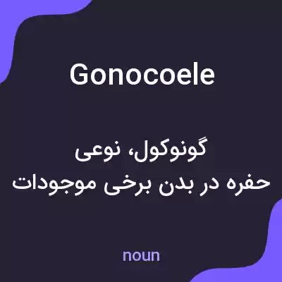 معنی gonocoele به فارسی