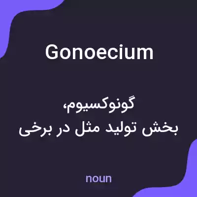معنی gonoecium به فارسی معنی gonoecium به فارسی