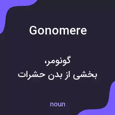 معنی gonomere به فارسی معنی gonomere به فارسی
