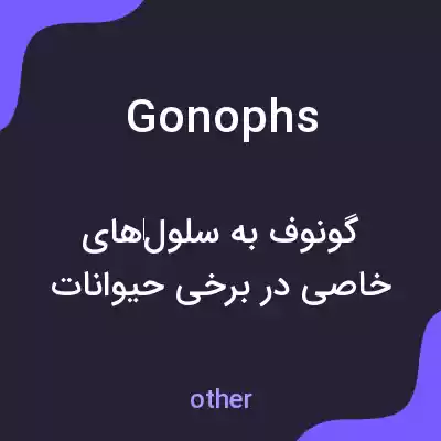معنی gonophs به فارسی معنی gonophs به فارسی
