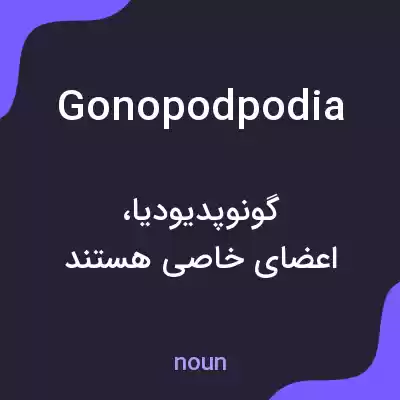 معنی gonopodpodia به فارسی معنی gonopodpodia به فارسی
