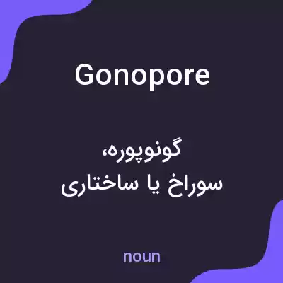 معنی gonopore به فارسی معنی gonopore به فارسی