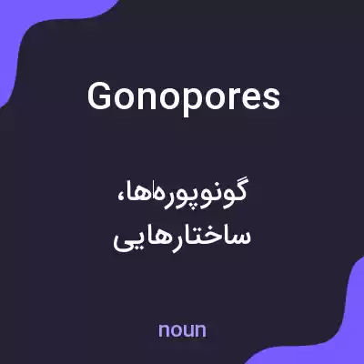 معنی gonopores به فارسی معنی gonopores به فارسی