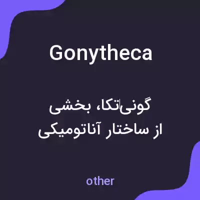 معنی gonytheca به فارسی معنی gonytheca به فارسی