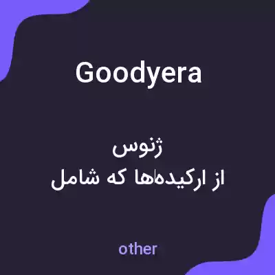 معنی goodyera به فارسی معنی goodyera به فارسی
