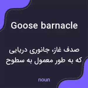 معنی goose barnacle به فارسی معنی goose barnacle به فارسی