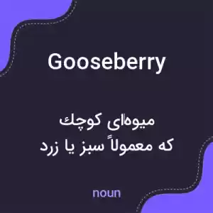 معنی gooseberry به فارسی معنی gooseberry به فارسی