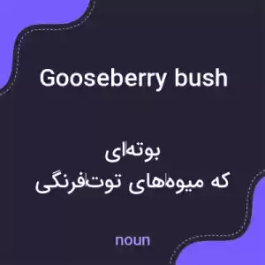 معنی gooseberry bush به فارسی معنی gooseberry bush به فارسی