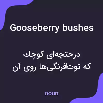 معنی gooseberry bushes به فارسی معنی gooseberry bushes به فارسی